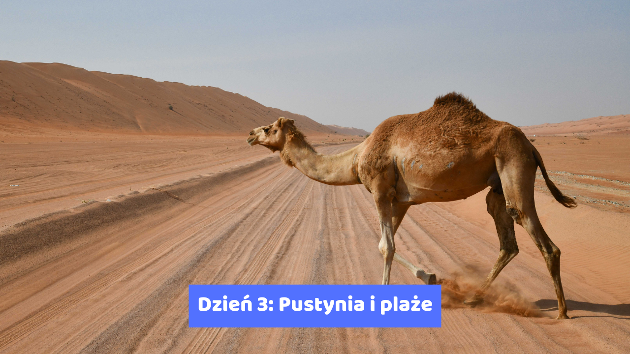 Dzień 3 Pustynia i plaże