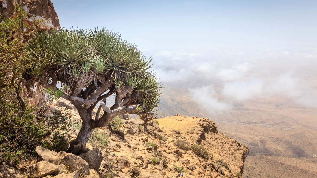 Gdzie znajduje się Jebel Samhan i jak tam dojechać?