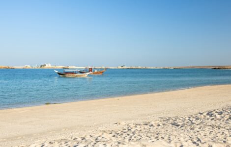 Ras Al Hadd – gdzie pustynia spotyka ocean. Co warto zobaczyć?