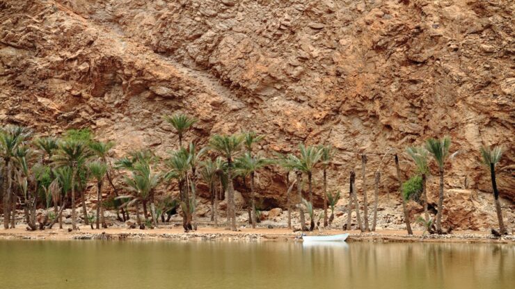Wadi Tiwi w Omanie – co warto wiedzieć? Najważniejsze informacje