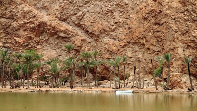 Wadi Tiwi w Omanie – co warto wiedzieć? Najważniejsze informacje