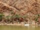 Wadi Tiwi w Omanie – co warto wiedzieć? Najważniejsze informacje