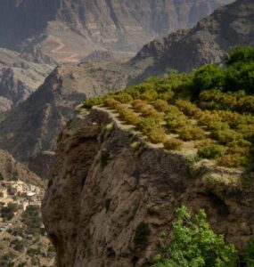 Jebel Akhdar - Zielona Góra w Omanie