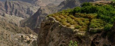 Jebel Akhdar - Zielona Góra w Omanie