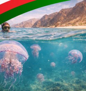 Czy w Omanie są meduzy?