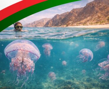 Czy w Omanie są meduzy?